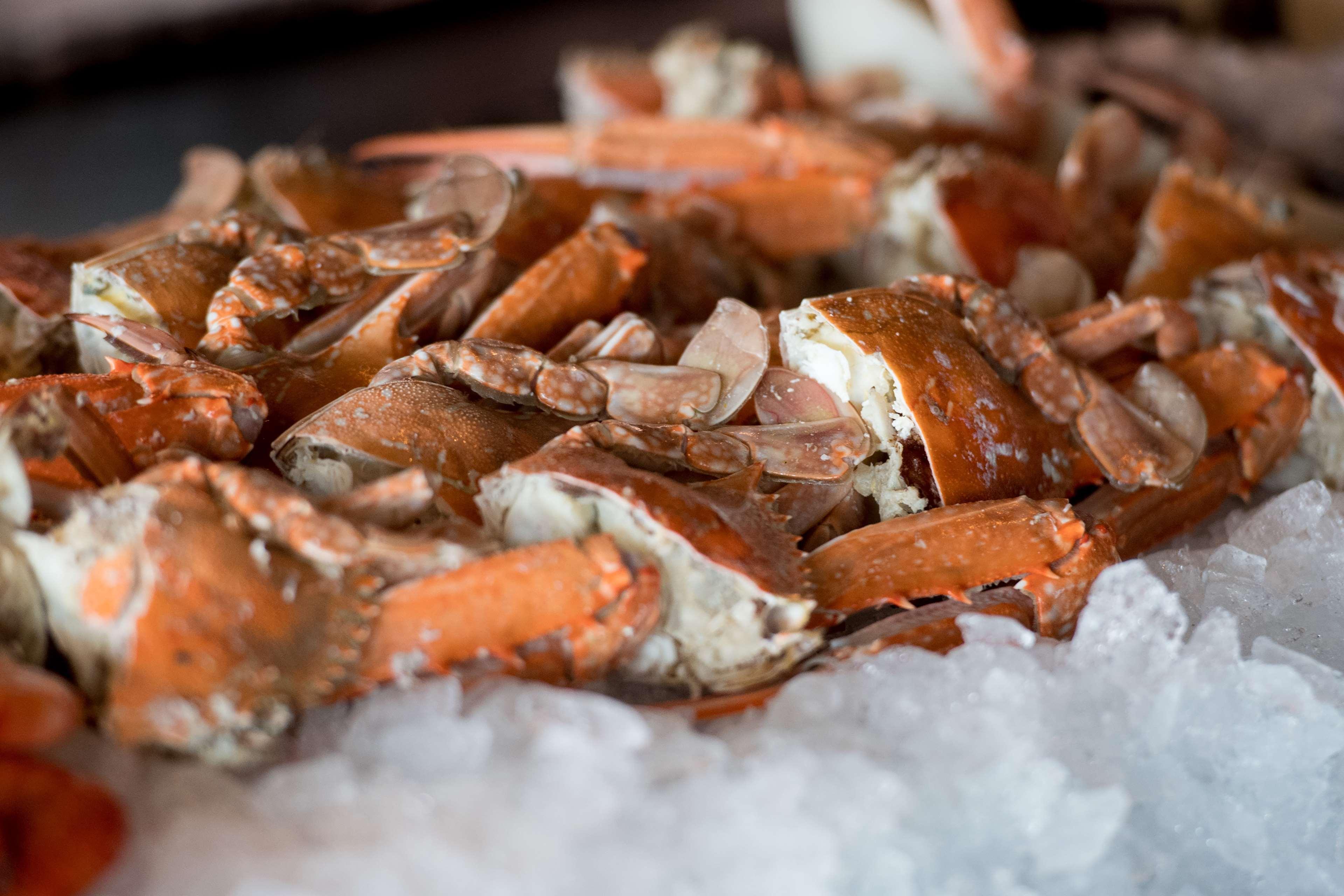 Hotel Hyatt Regency Sydney Esterno foto Cooked crab legs