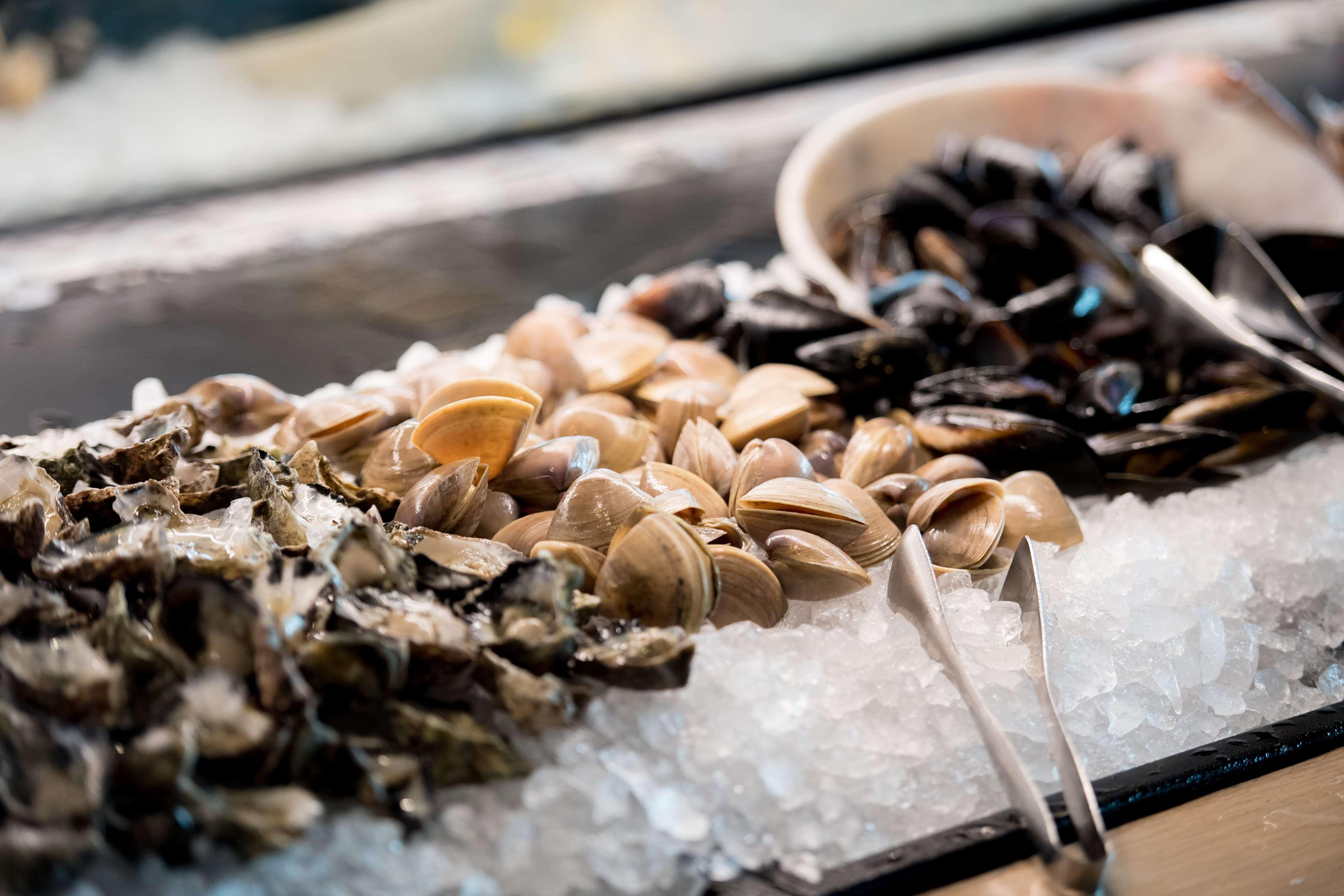 Hotel Hyatt Regency Sydney Esterno foto Fresh seafood at the market